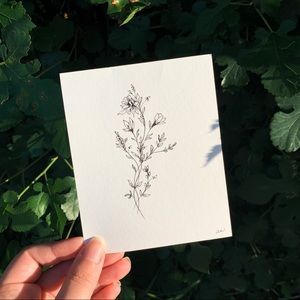 Wildflowers original drawing